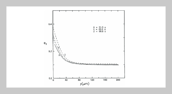 Precipitation Dynamics for the Formation of Nylon-6 Polyamide Membranes by Isothermal Precipitation in Water/Formic Acid Solutions