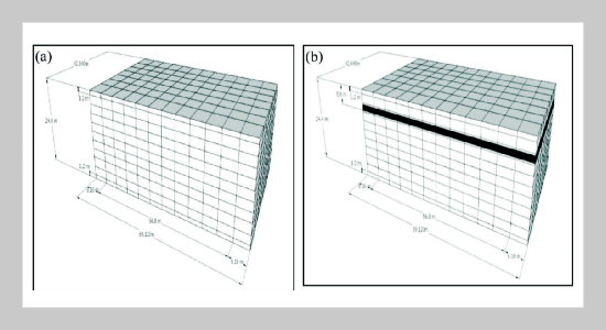 Seismic Responses of Liquefiable Sandy Ground with Silt Layers