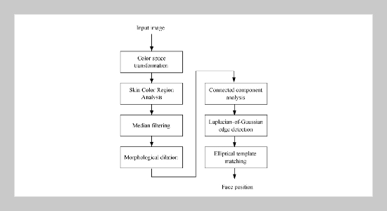 A Real-Time Skin Color Based Human Face Tracking System Using an Evolutionary Search Strategy