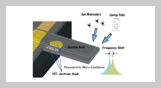 Hybrid Piezoelectric MEMS Resonators for Application in Bio-Chemical Sensing