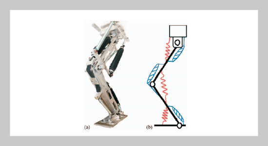 Squat and Standing Motion of a Single Robotic Leg Using Pneumatic Artificial Muscles