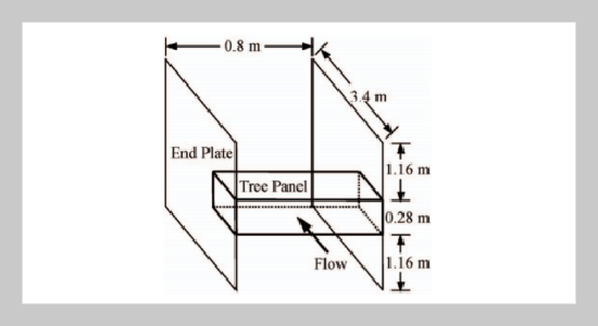 Numerical Simulation of Flows around Broad-leaf Trees