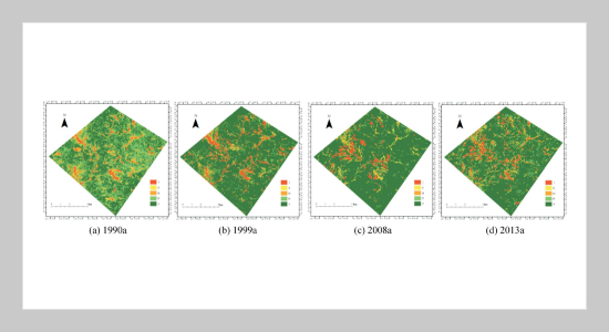 Evolution Analysis of Vegetation Cover under the Disturbance of Rare Earth Mining: a Case in Lingbei Mining Area