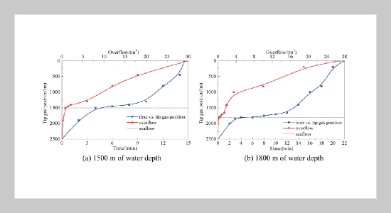 Feasibility Analysis of Early Gas Monitoring at the Bottom of Marine Riser in Deepwater Drilling