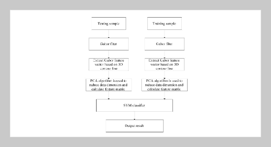 Three Dimension Face Recognition Based on Gabor Transformation and Support Vector Machine