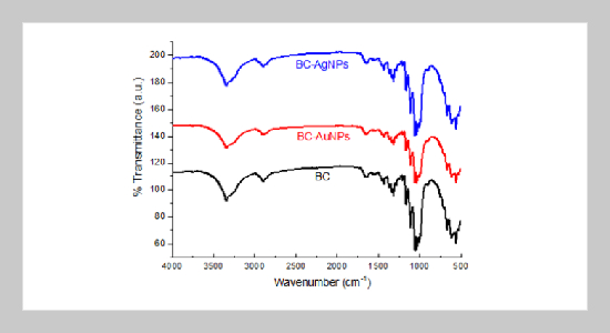 Simple one-pot in situ synthesis of gold and silver nanoparticles on bacterial cellulose membrane using polyethyleneimine