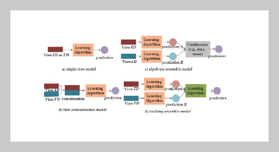 Physical Activity Recognition from Accelerometer Data Using Multi-view Aggregation