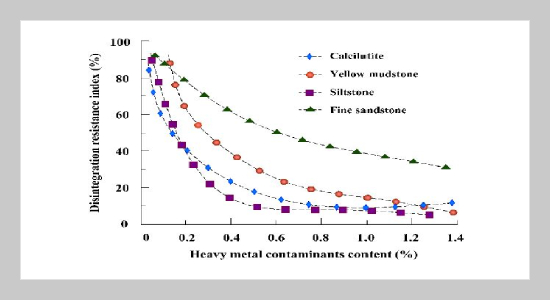 Strength test and penetration effect of intrusion surface of heavy metal contaminated soft rock