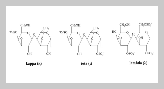 Extraction and Physicochemical Properties of Refined Kappa-Carrageenan from Kappaphycus alvarezii Originated from Semporna, Sabah