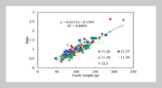 Influence of Cultivation Environment on Growth of Lettuce Seedlings in Artificial Light Type Plant Factory