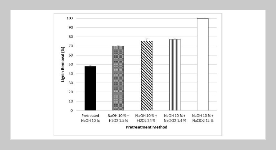 Cellulose Isolation From Oil Palm Empty Fruit Bunch Using Different Pretreatment Processes