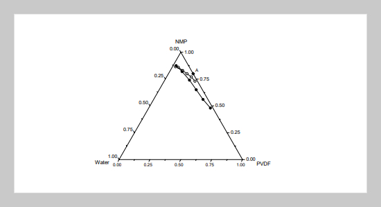 On the Structure of Porous Poly(vinylidene fluoride) Membrane Prepared by Phase Inversion from Water-NMP-PVDF System 