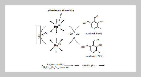 Electrocatalytic Oxidation of Vitamin B6 on a Chemically Modified Electrode 