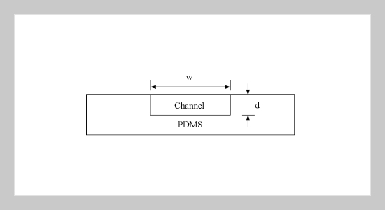 Electro-Hydro-Dynamic (EHD) Micropumps with Electrode Protection by Parylene and Gelatin